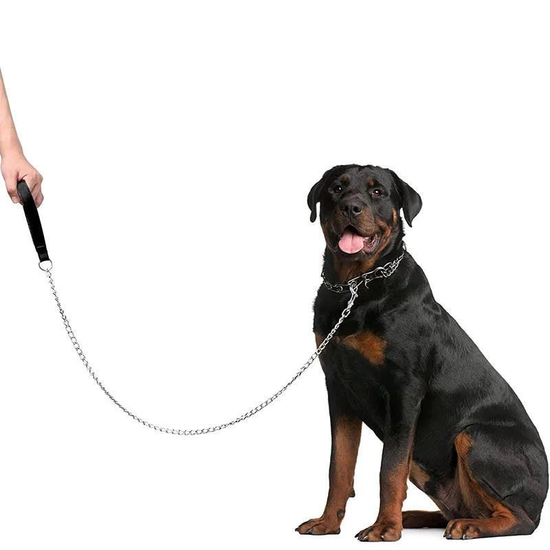 laisse en fer pour chien