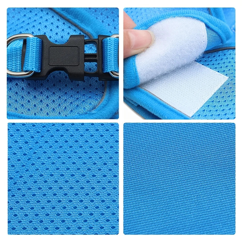 harnais laisse kit assorti pour petit chien