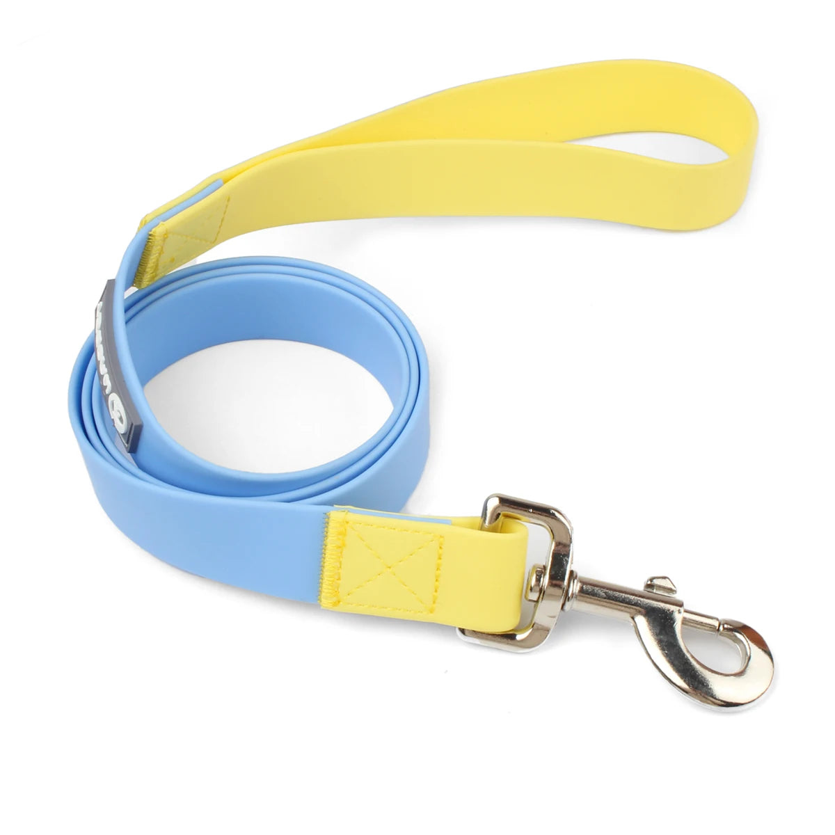 collier et laisse pour chien