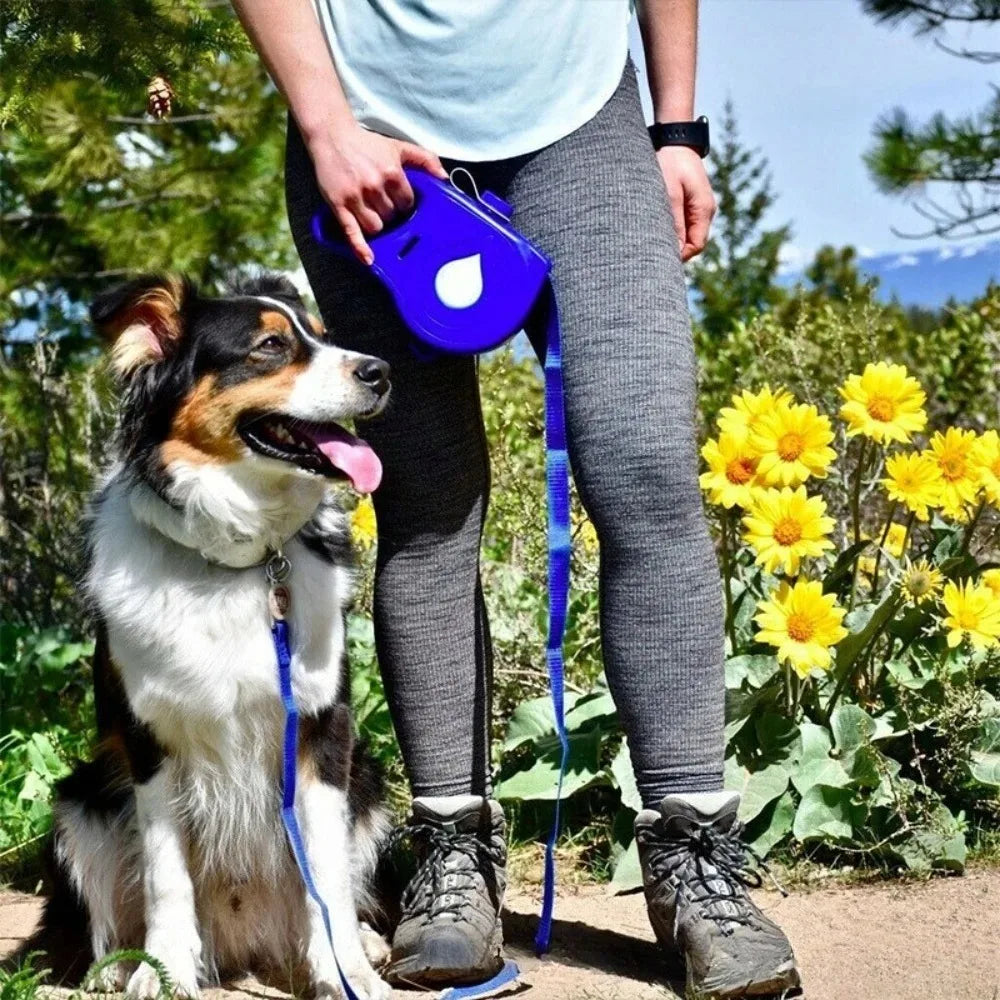 gourde laisse pour chien