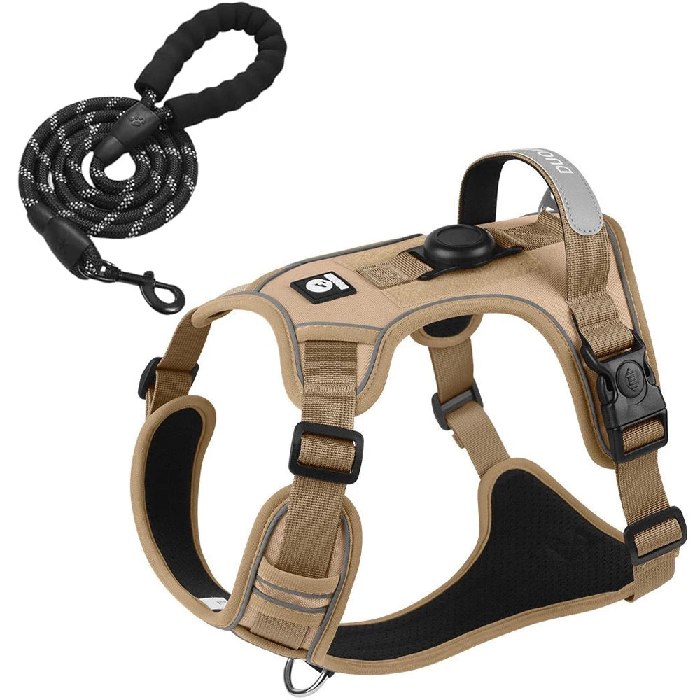 ensemble harnais laisse pour chien