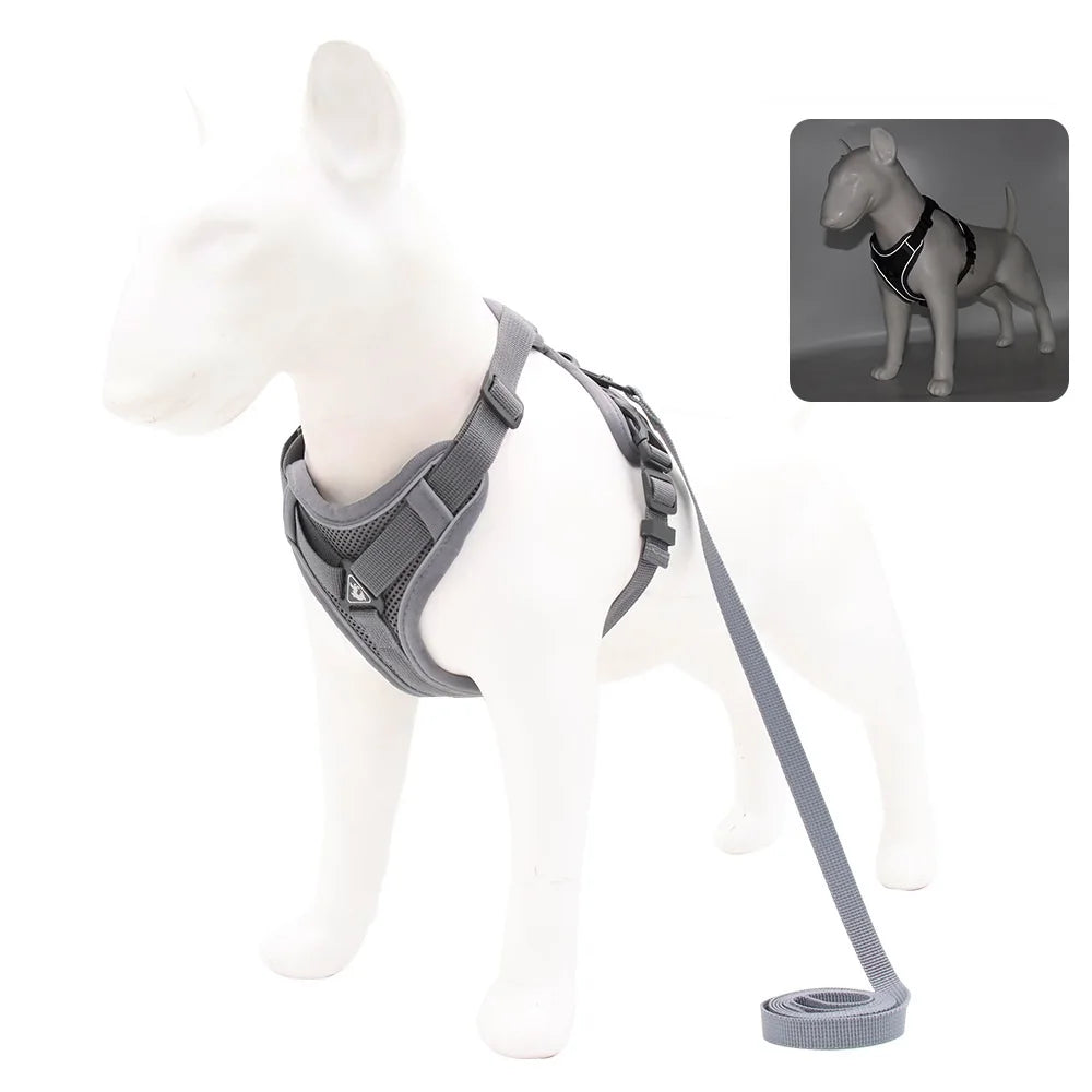 harnais laisse pour chien de moyen taille