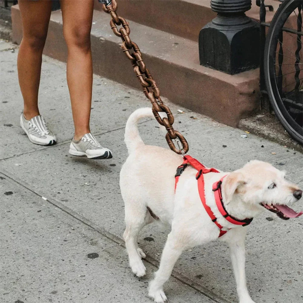 laisse fantaisie pour chien