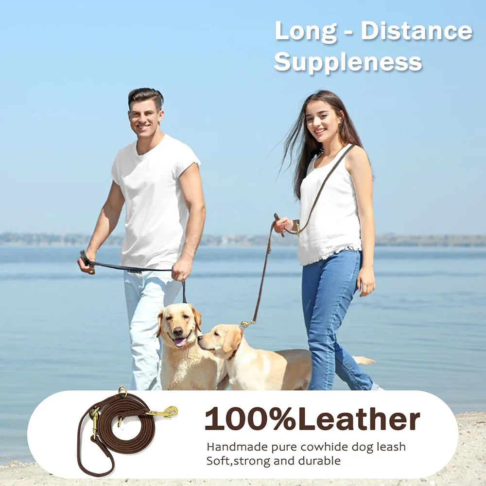 laisse cuir bandoulières pour chien de chasse