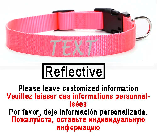 collier pour chien laisser moi tranquille