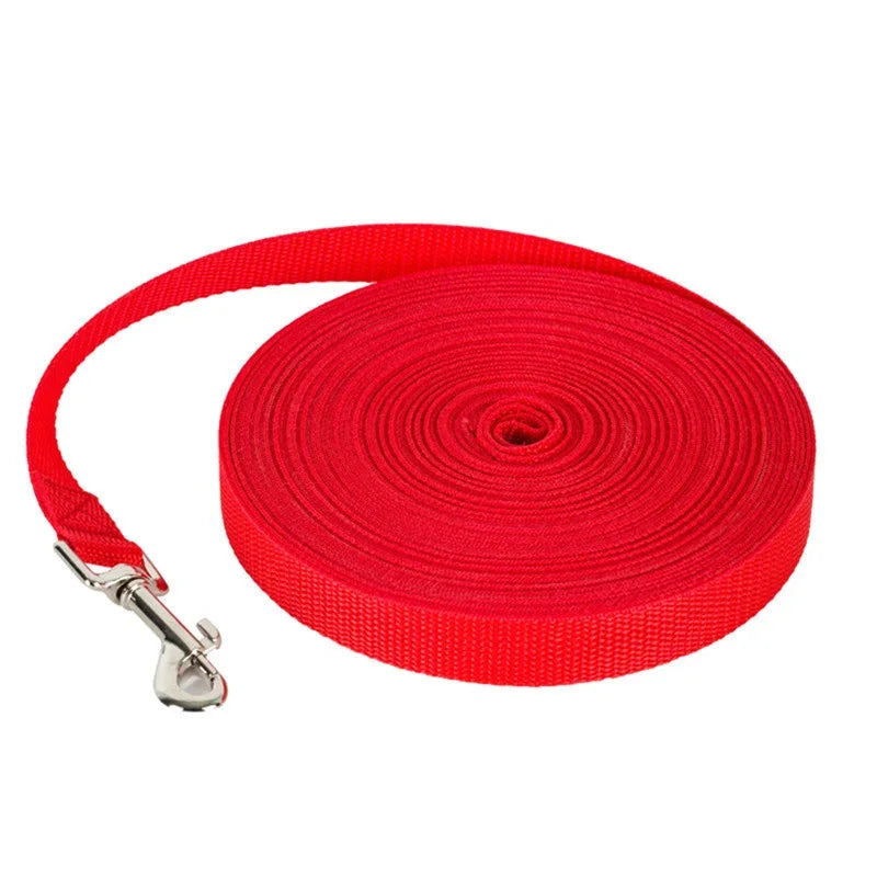 laisse ruban pour chien 10 15 kg