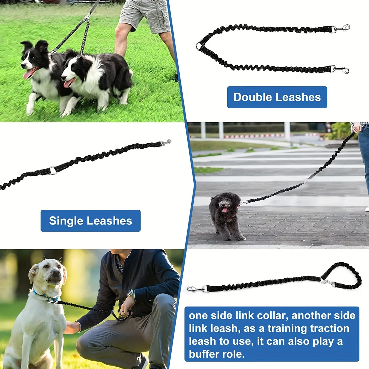 laisse double pour gros chien