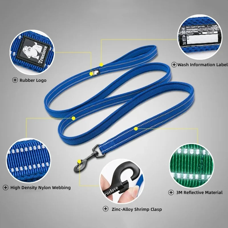 harnais laisse en nylon 2 cm largeur pour chien