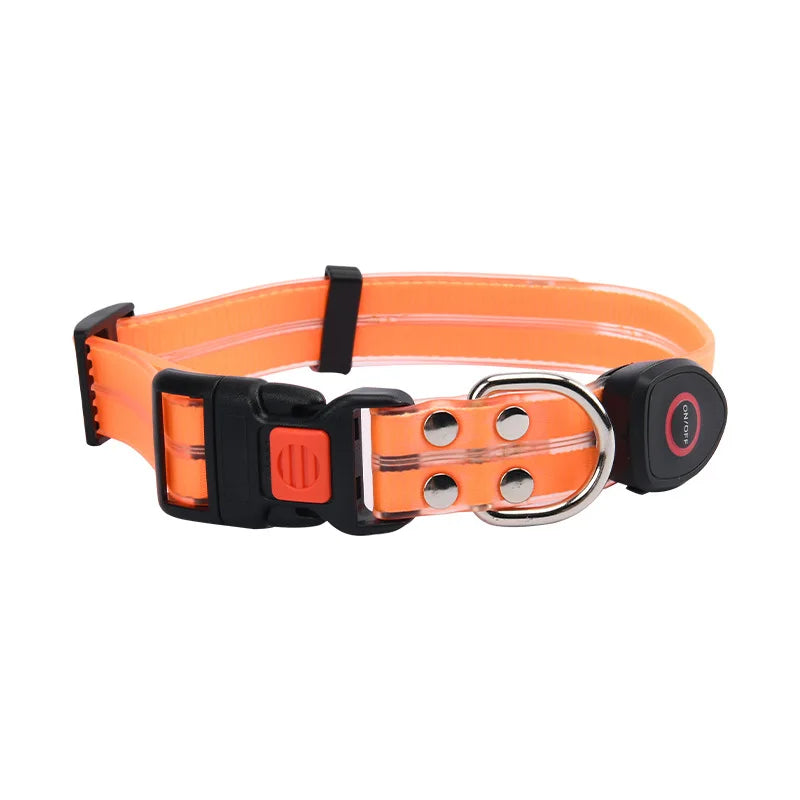 collier et laisse lumineuse pour chien