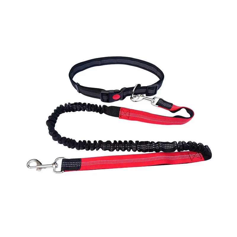 laisse ceinture pour chien