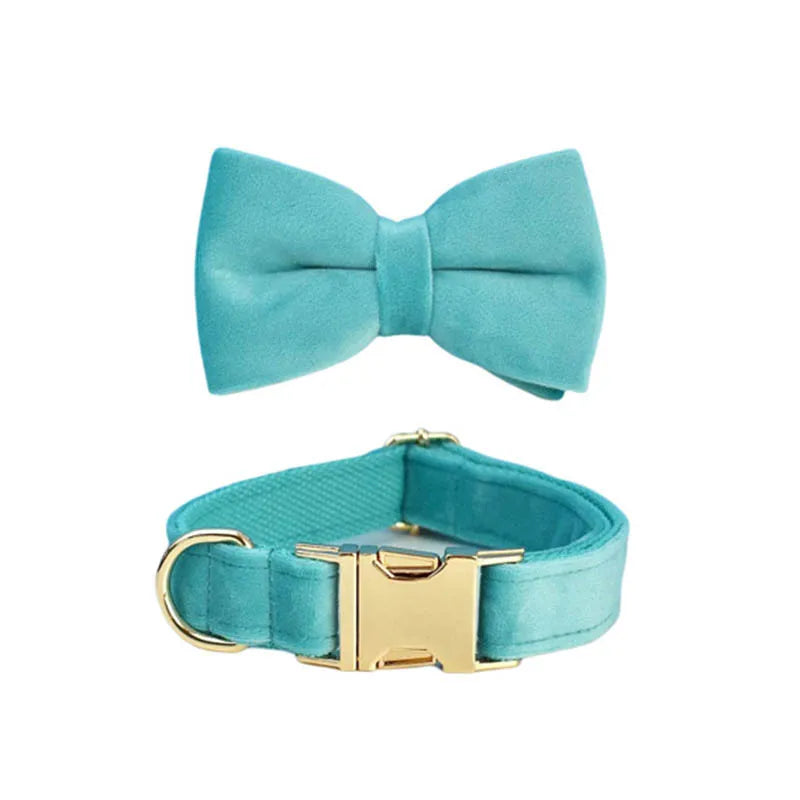 laisse d'exposition pour chien turquoise