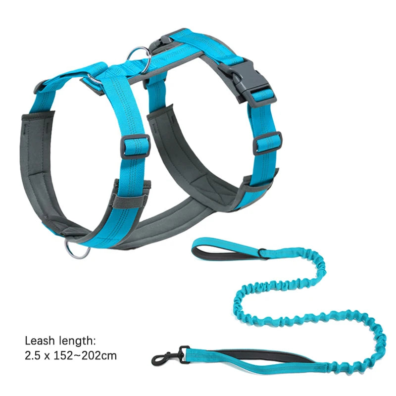 laisse anti fugue pour chien