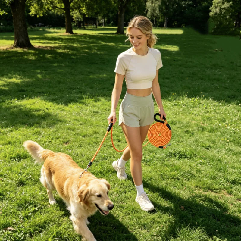 laisse tres longue