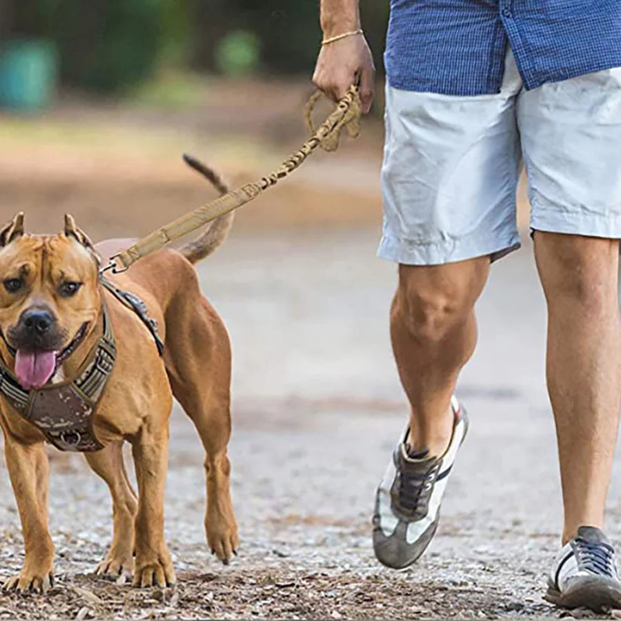 laisse elastique pour gros chien