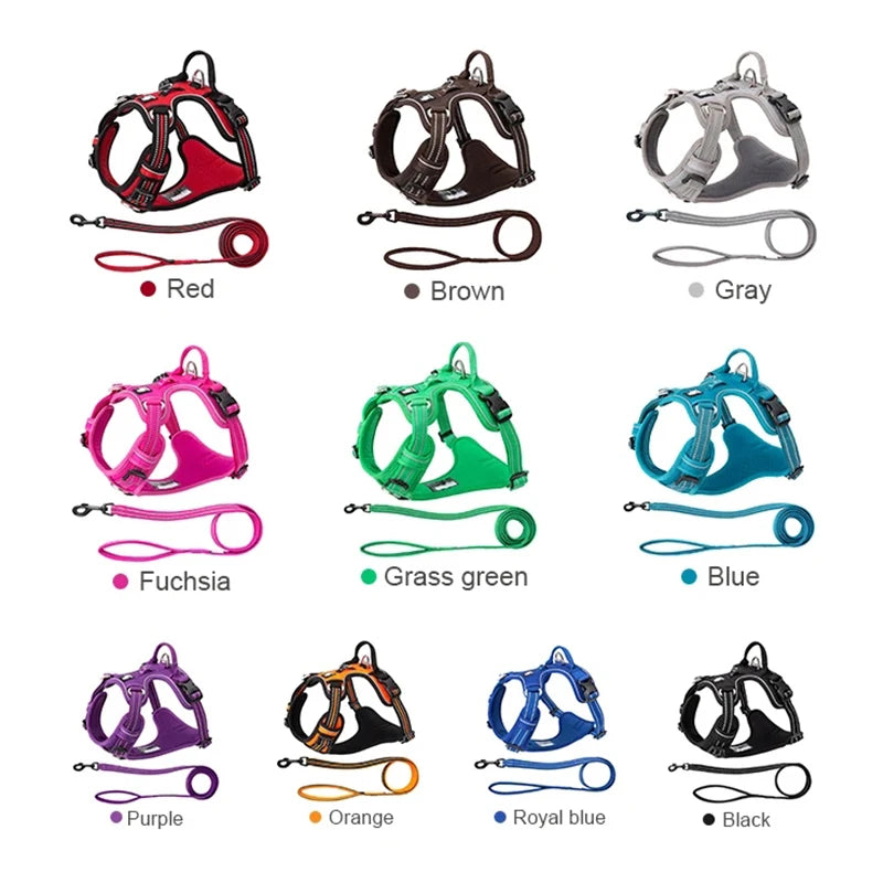 harnais laisse en nylon 2 cm largeur pour chien