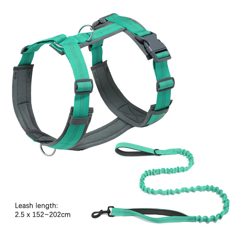 laisse anti fugue pour chien