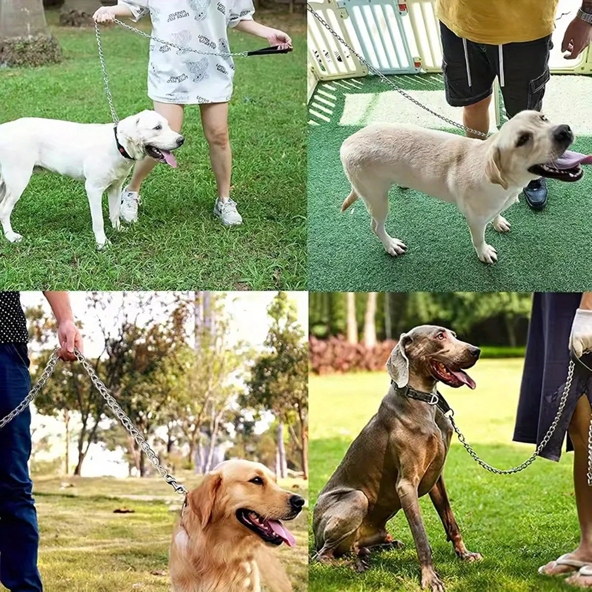 laisse chaine 1 mettre 20 pour chien