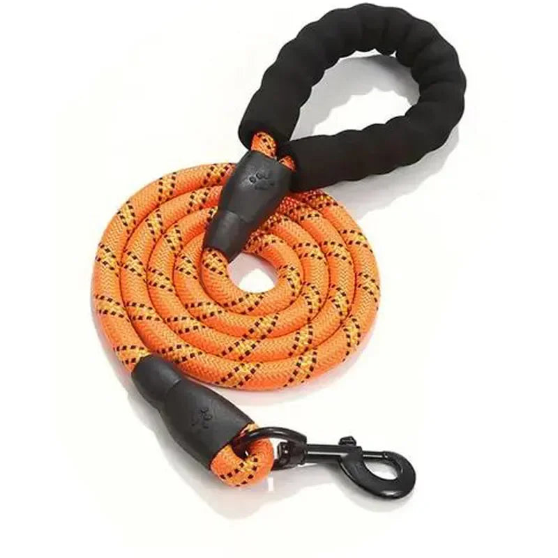 laisse harnais pour chien