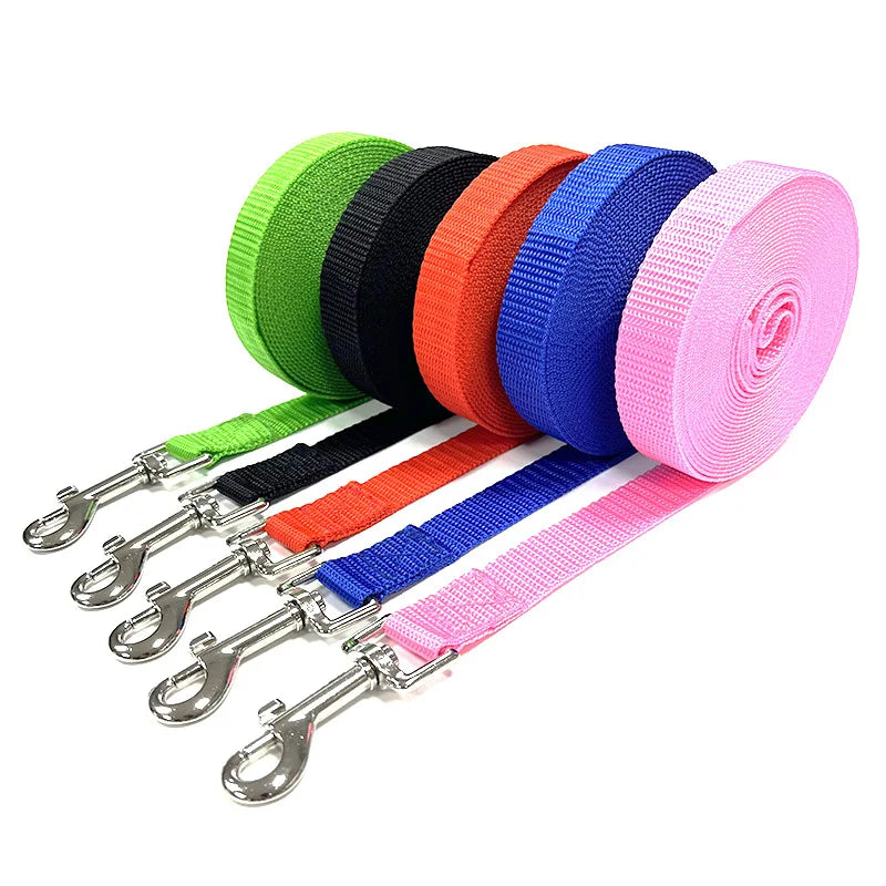 laisse ruban pour chien 10 15 kg