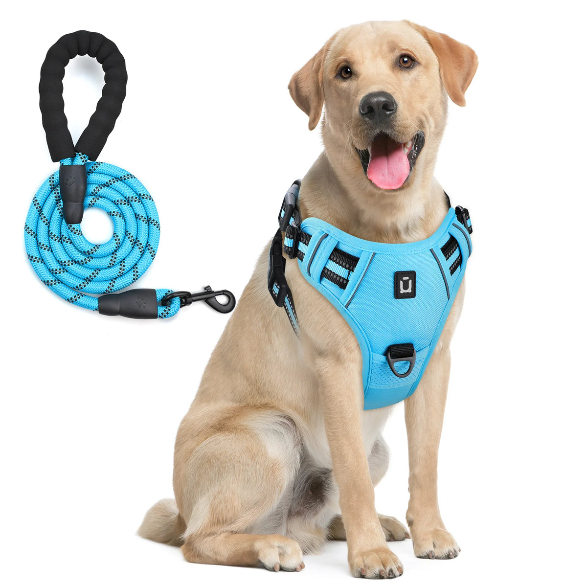harnais laisse pour chien bleu