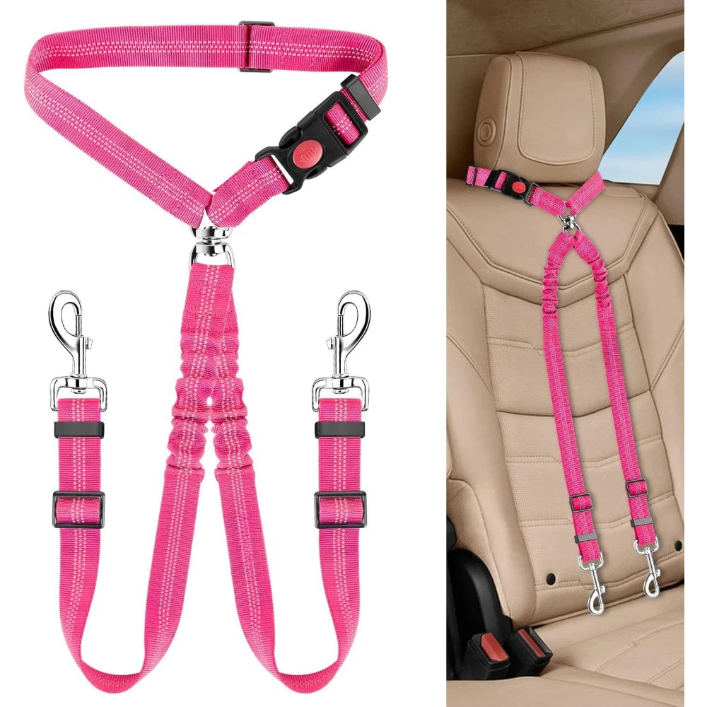 laisse ceinture retractable pour deux petit chien