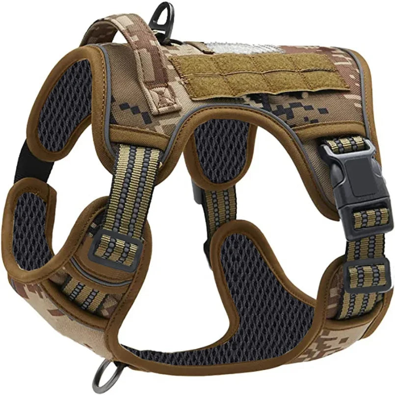 laisse militaire pour chien