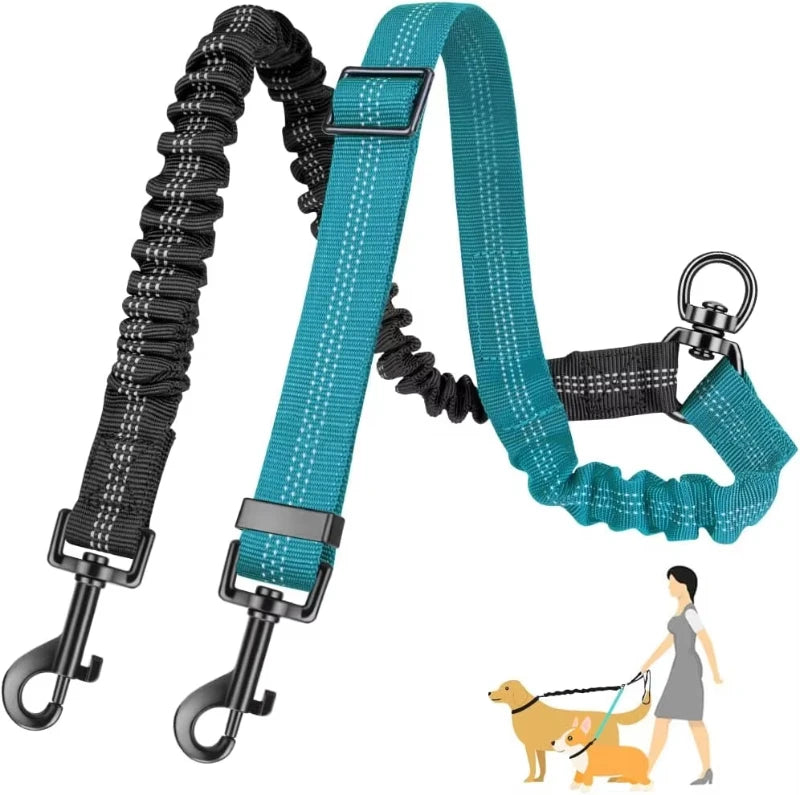 double laisse pour chien