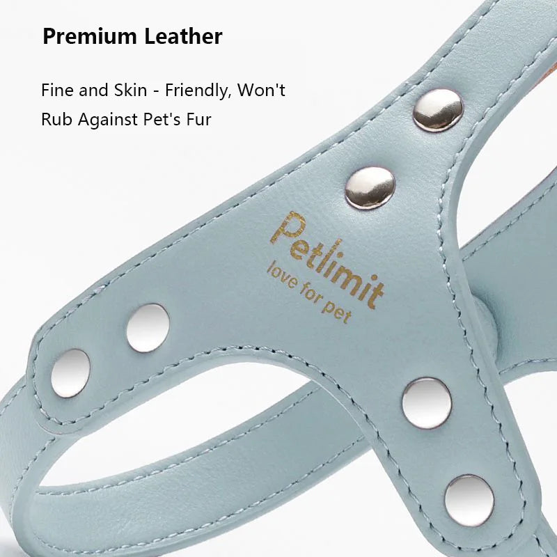 harnais cuir laisse pour petit chien yorkshire