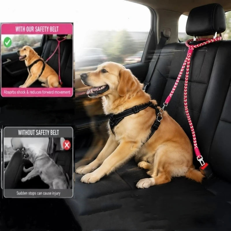laisse chien pour appuie tete