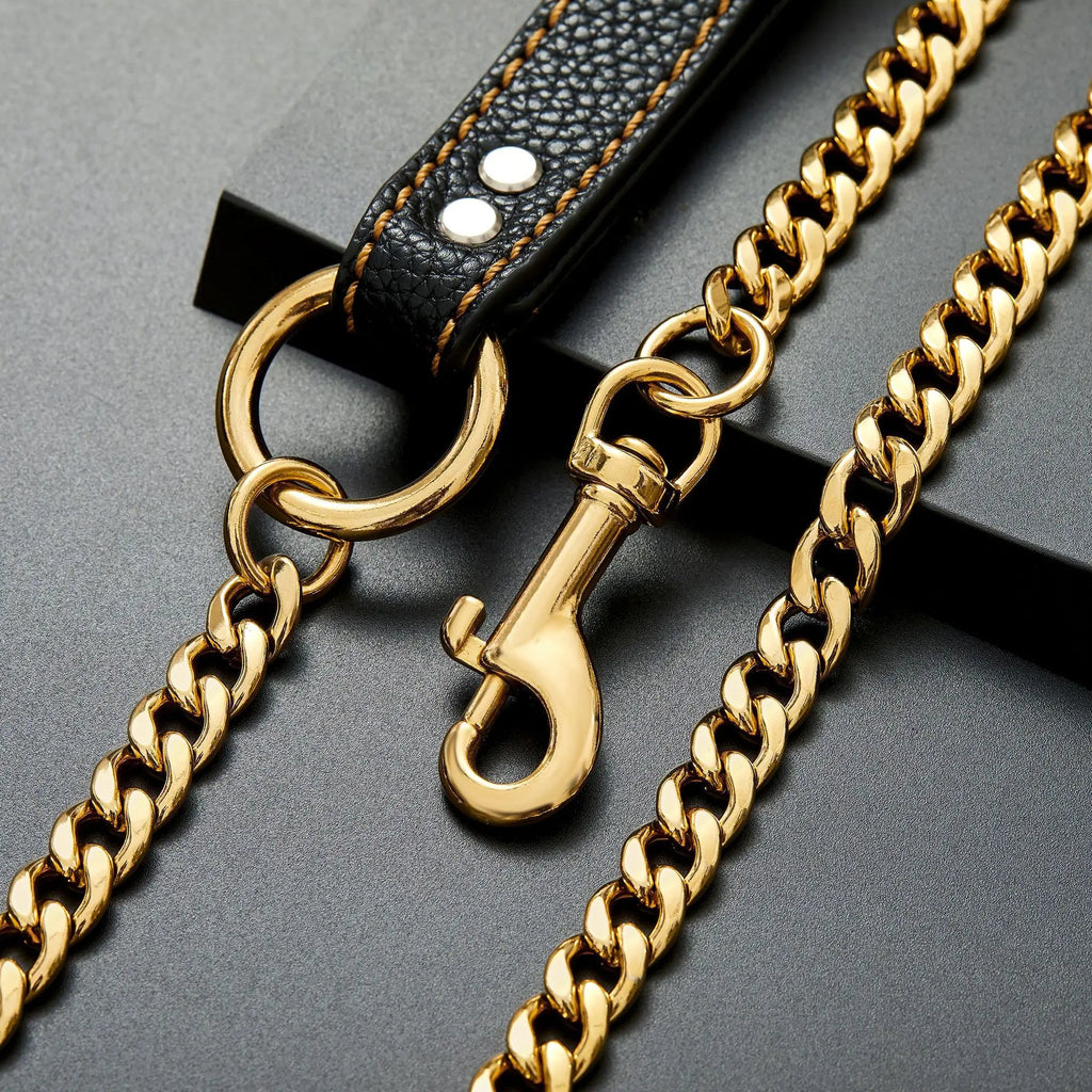 laisse en metal gros chien