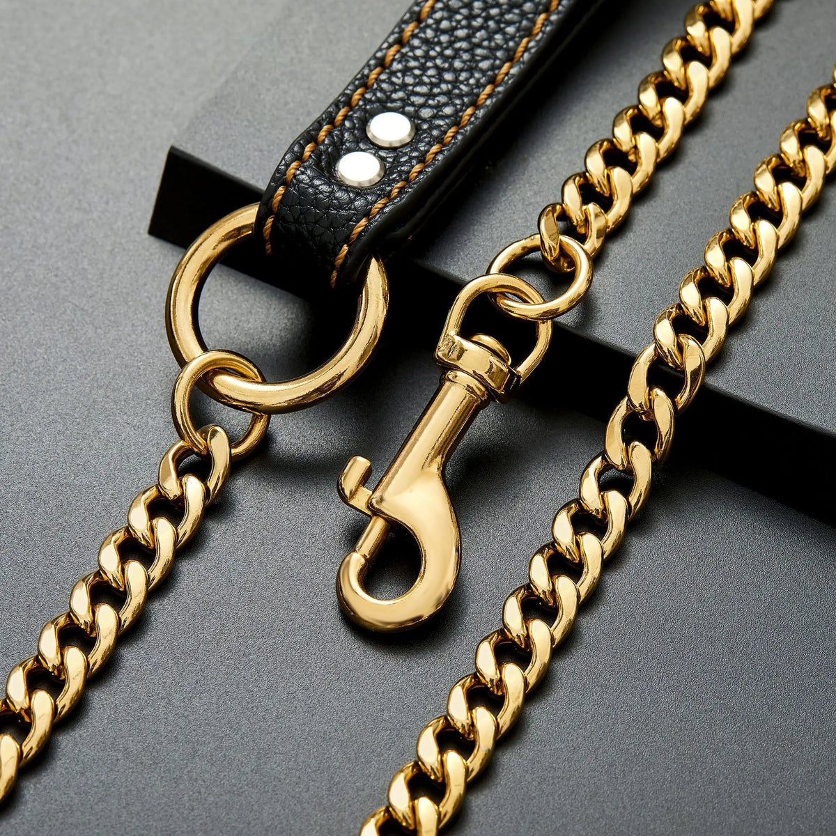 laisse en metal gros chien