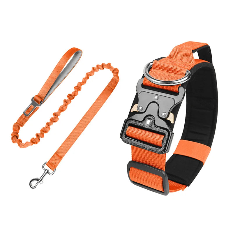 collier et laisse d'intervention pour chien berger allemand