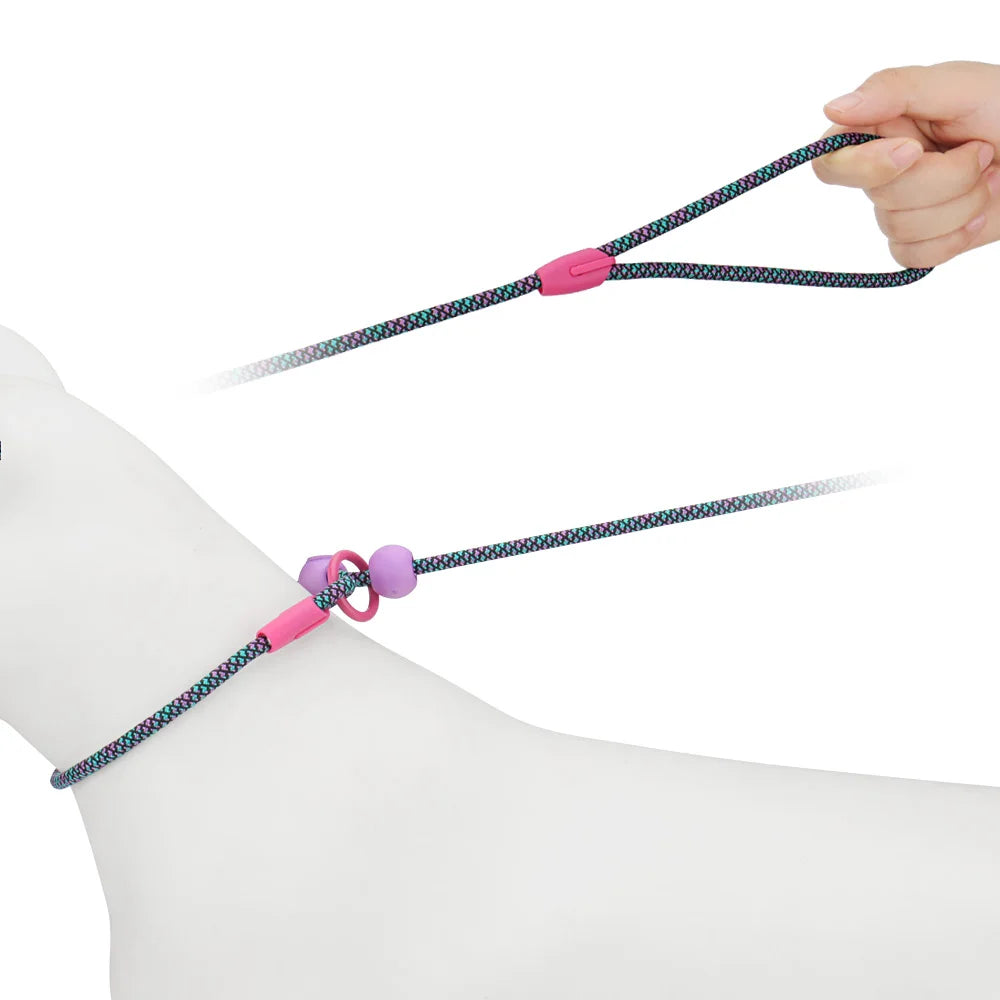 laisse de présentation pour chien 6 mm