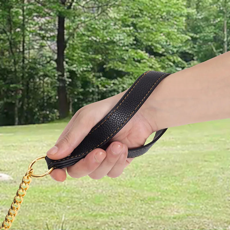 laisse en metal gros chien