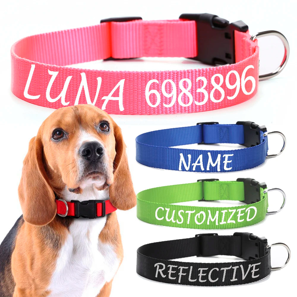 collier pour chien laisser moi tranquille