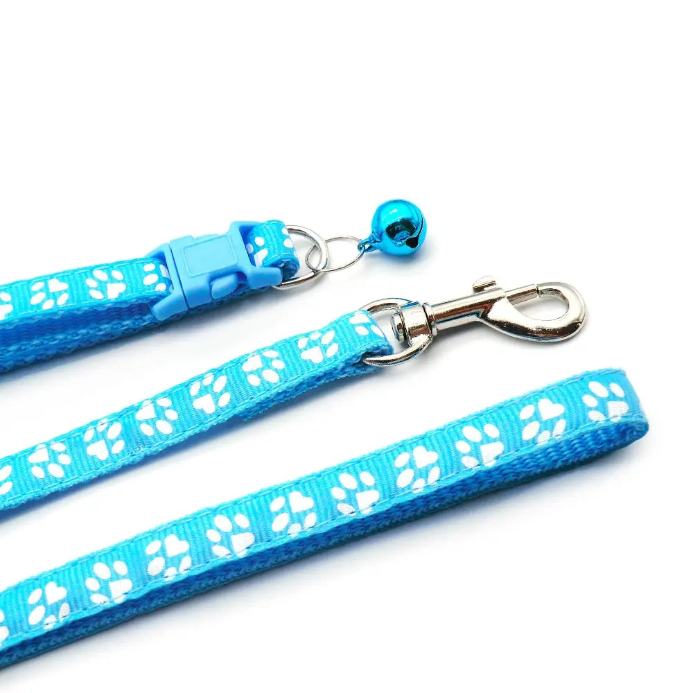 laisse pour chien saucisse