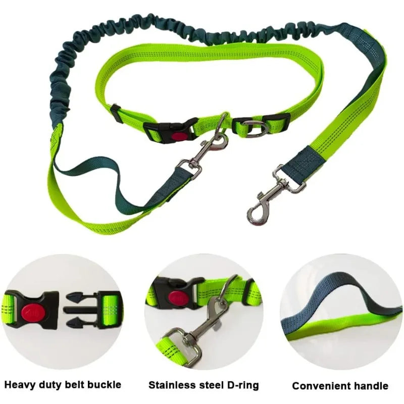 baudrier laisse pour chien