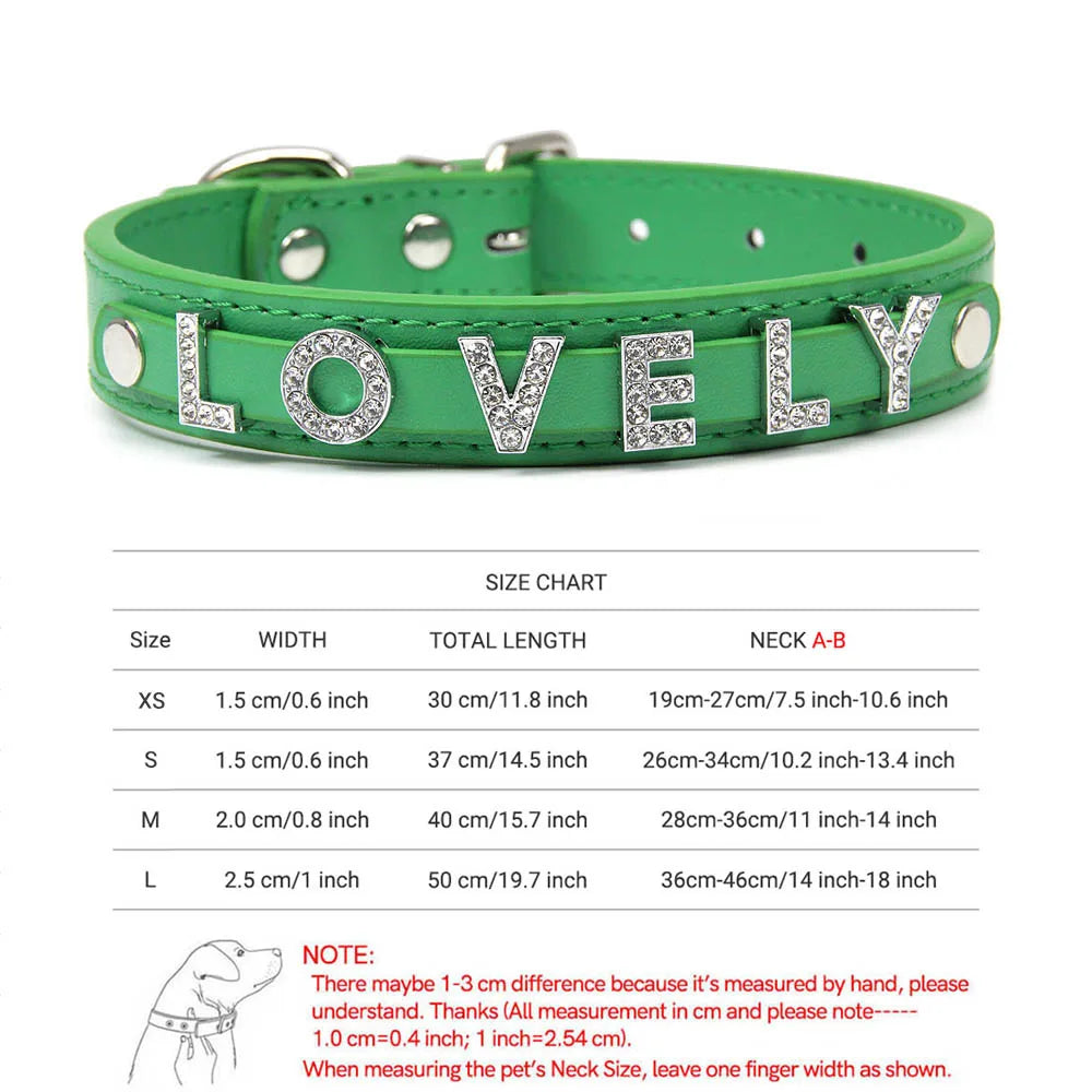 colier pour chien cuir et strace blanc