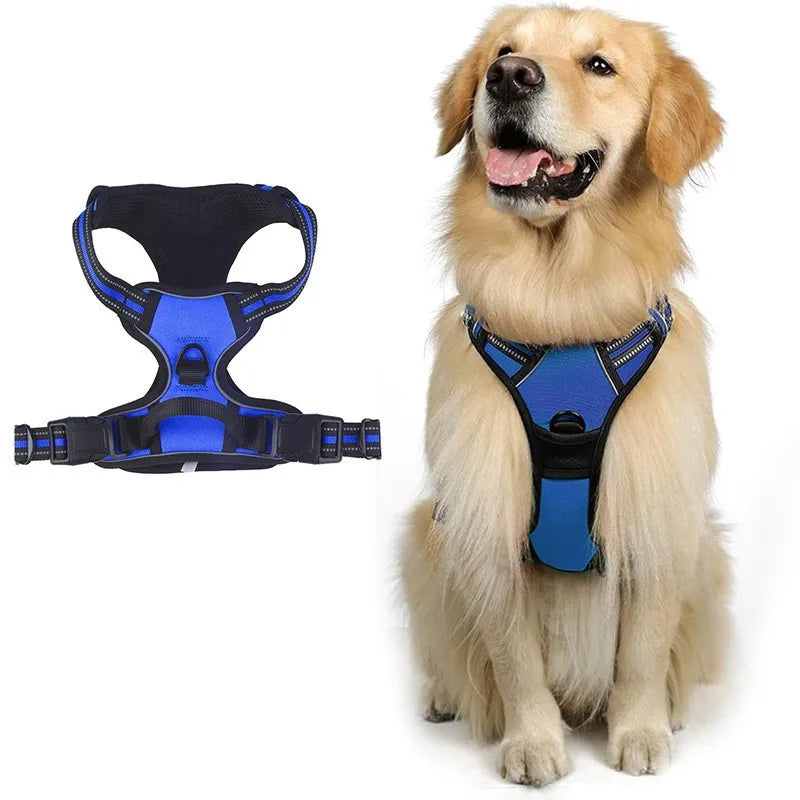 laisse harnais pour chien