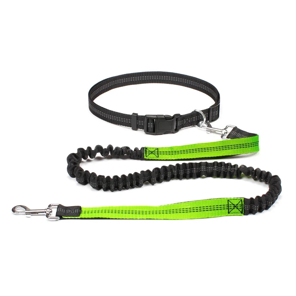 laisse ceinture pour chien