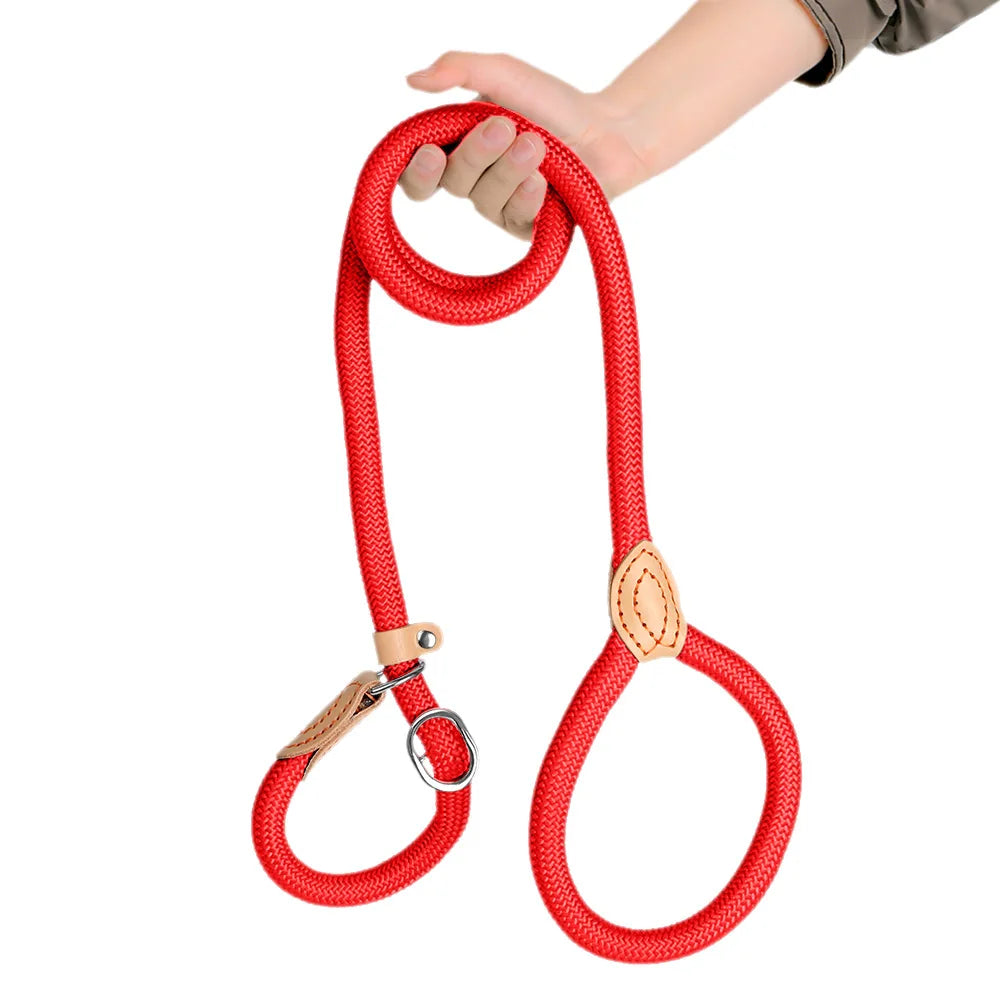 laisse coulissante pour chien