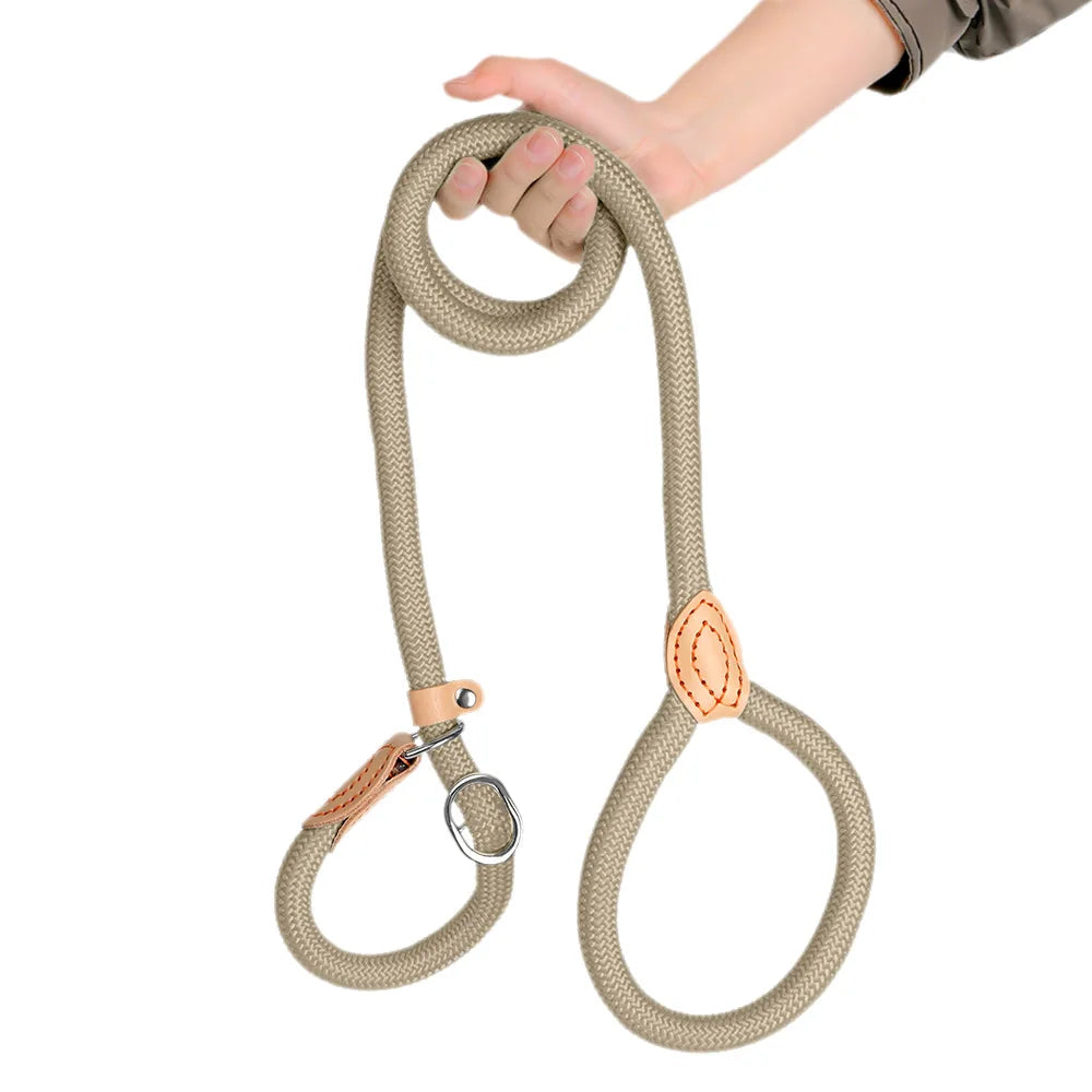 laisse coulissante pour chien