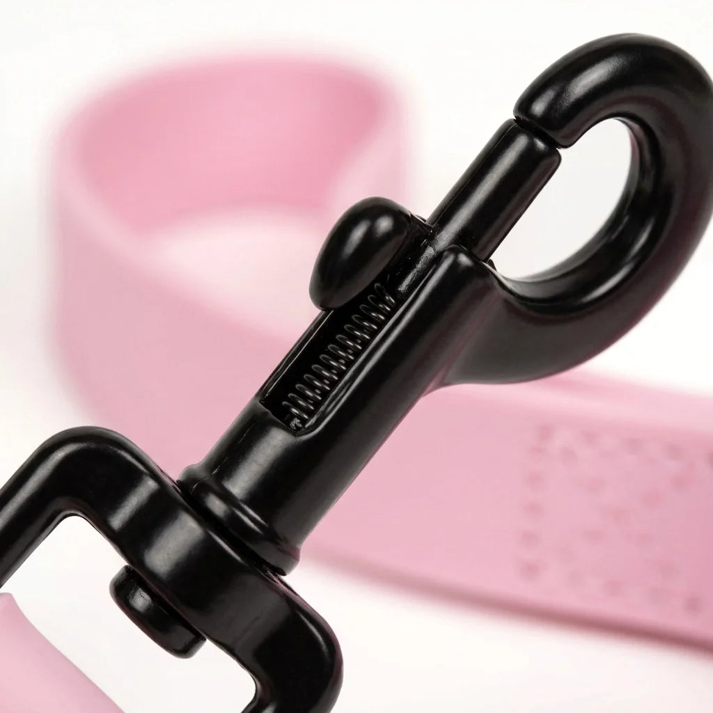 laisse pour chien rose