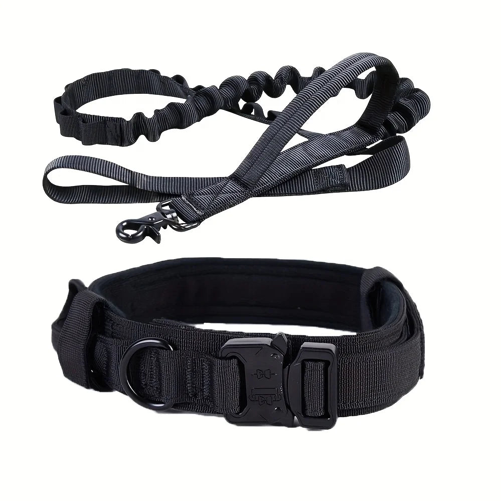 collier et laisse pour chien camouflage
