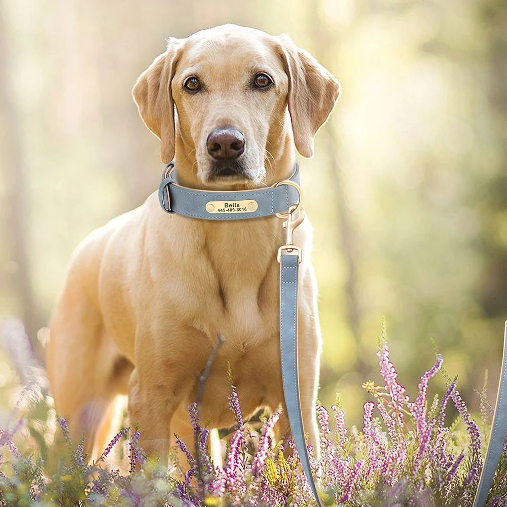 laisse en cuir rouge pour petit chien