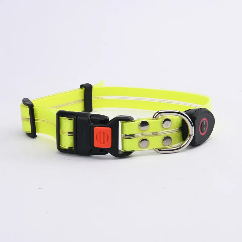 collier et laisse lumineuse pour chien