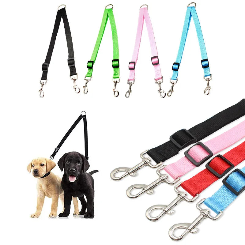 double laisse petit chien
