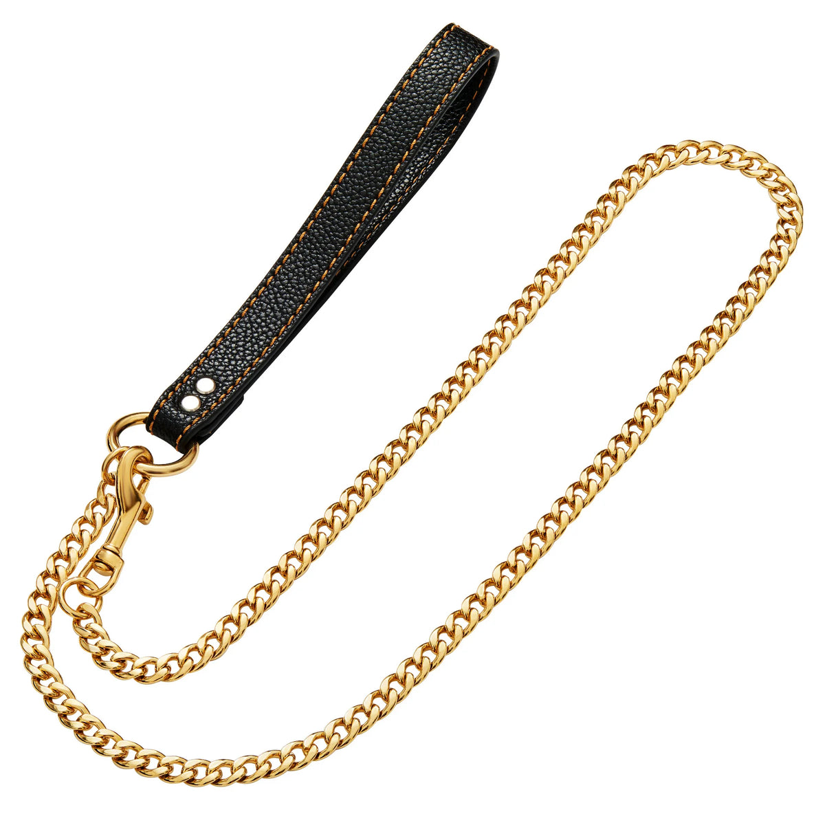 laisse en metal gros chien