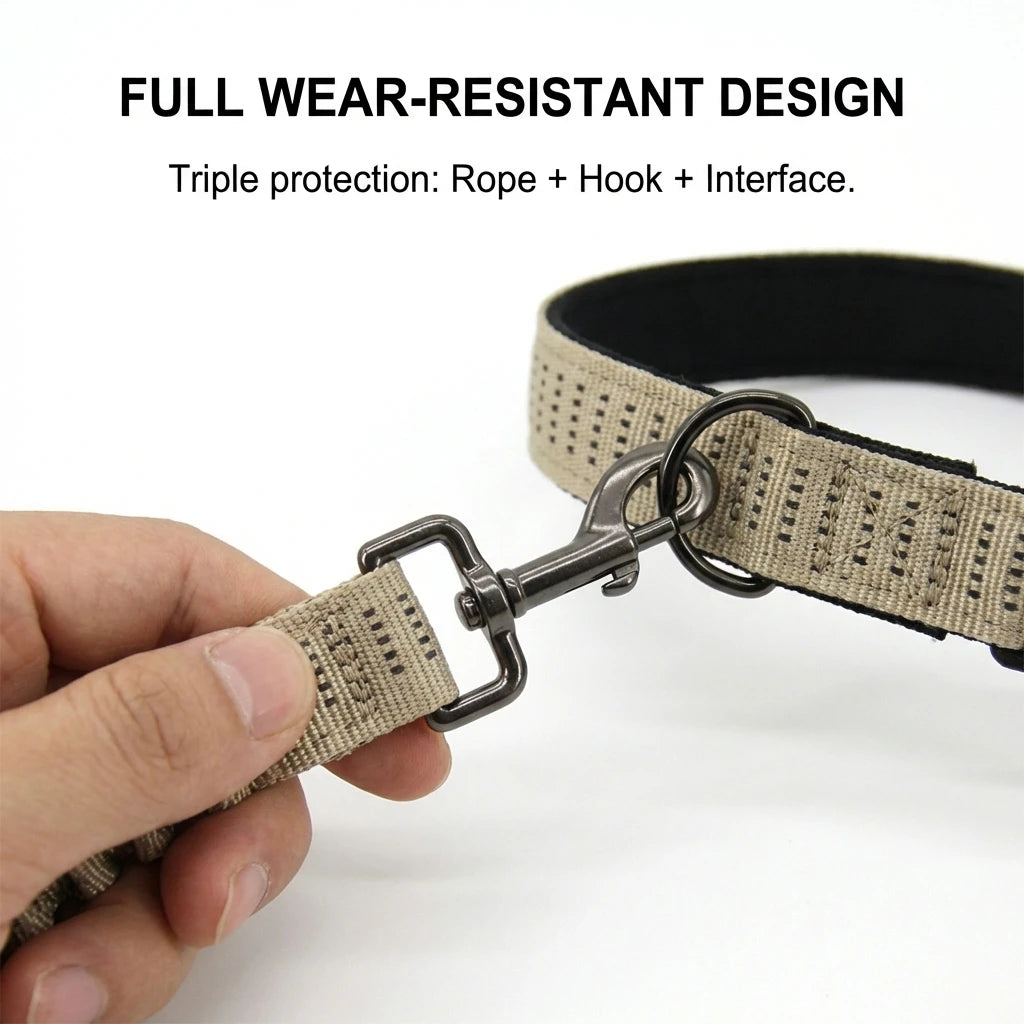 collier et laisse en nylon pour chien
