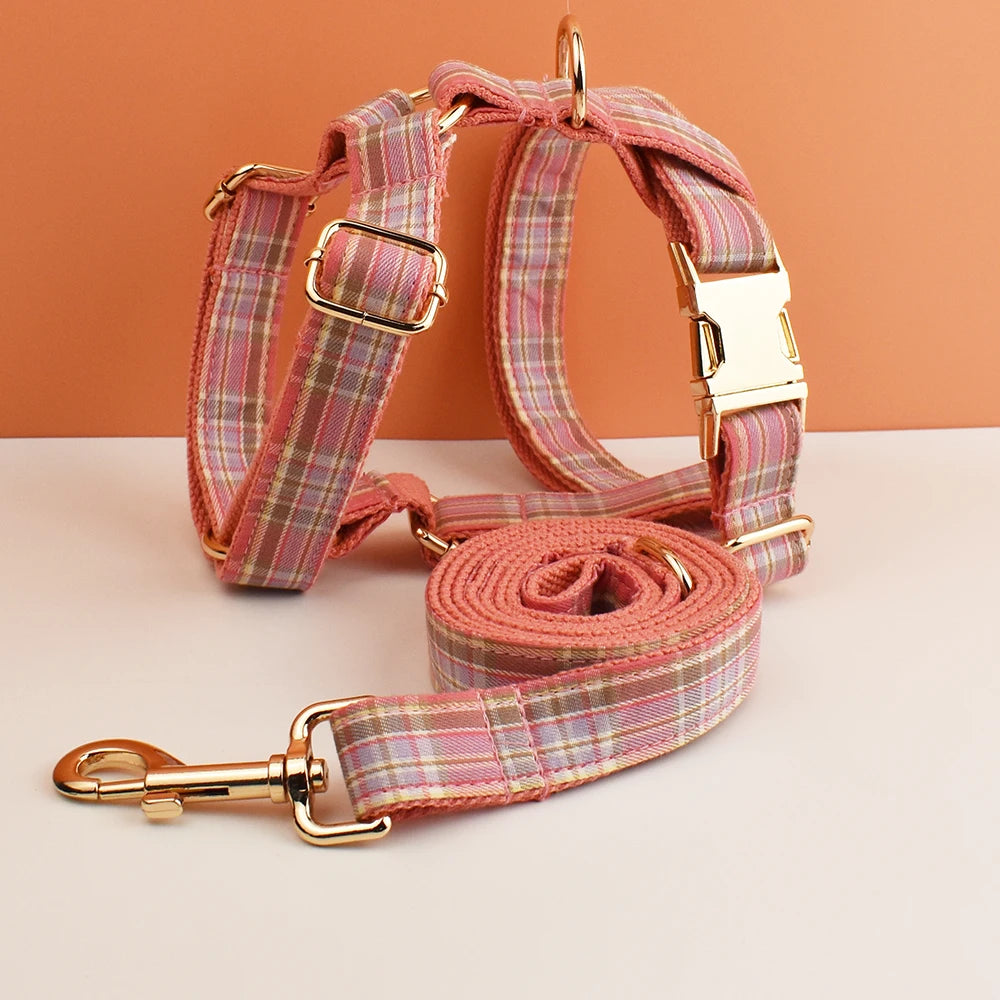 collier et laisse pour chien japonais